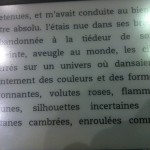 “La gourgandine” e “Lettres à la Novice”, de Françoise Rey