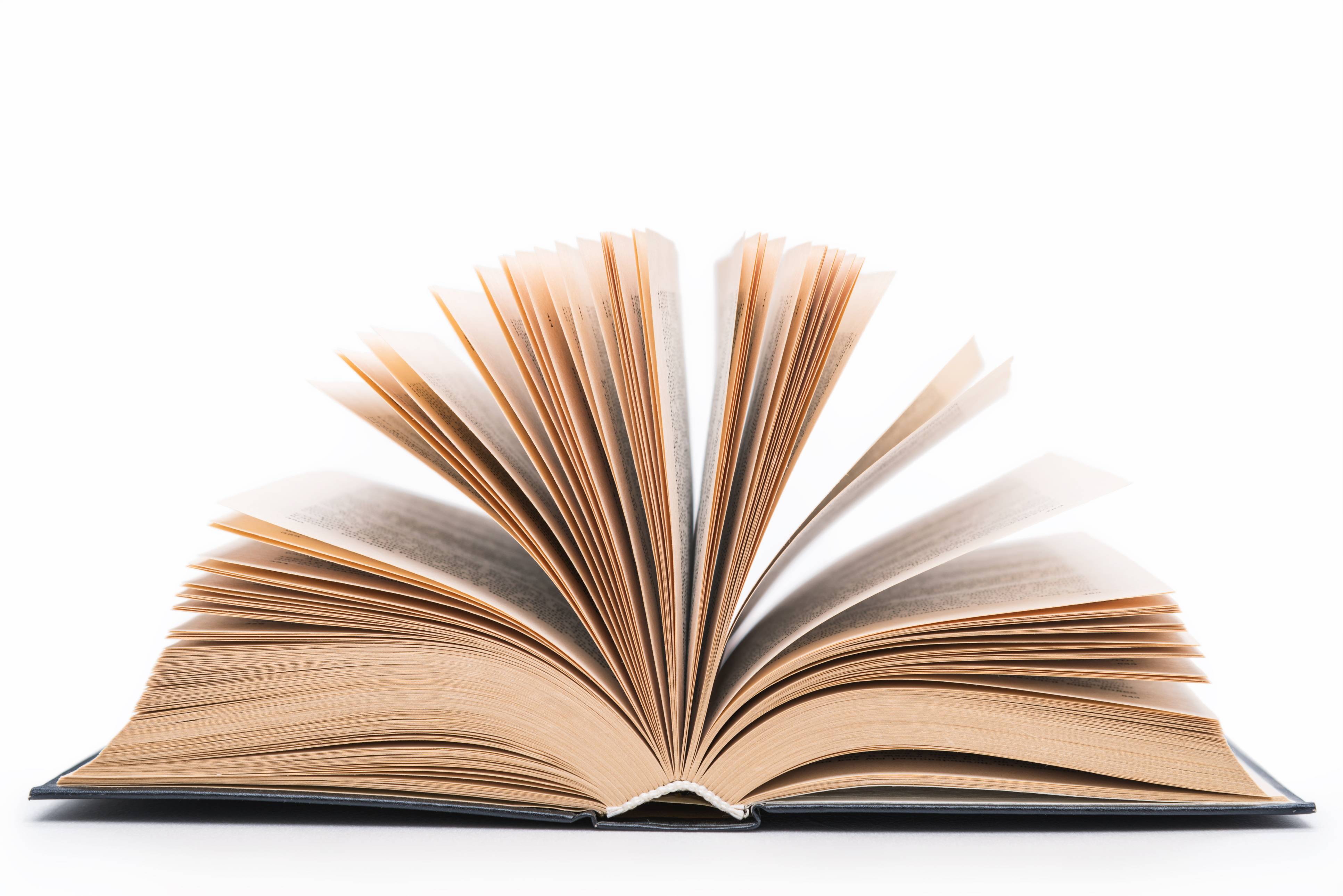 Novo livro – Rua Paraíba