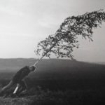 "A Fonte da Donzela", de Ingmar Bergman