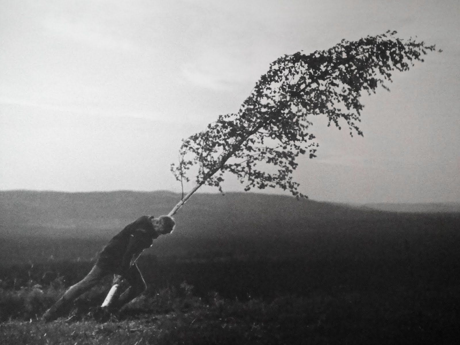 “A Fonte da Donzela”, de Ingmar Bergman