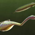 Do Monstro de Tully ao Deserto de Moradi - uma imersão na narrativa sensorial de Thomas Halliday e nos ecossistemas perdidos do nosso planeta.